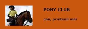 Pony Club Arad