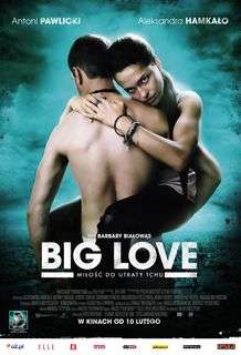 Big Love - 2012 DVDRip XviD - Türkçe Altyazılı Tek Link indir