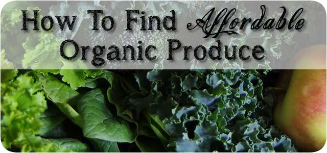 Affordable Organic Produce On A Budget Article