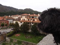 Ruta del Cares - Blogs de España - Arenas de Cabrales - Covadonga (18)