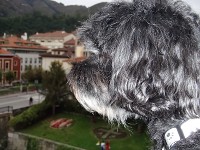 Ruta del Cares - Blogs de España - Arenas de Cabrales - Covadonga (17)