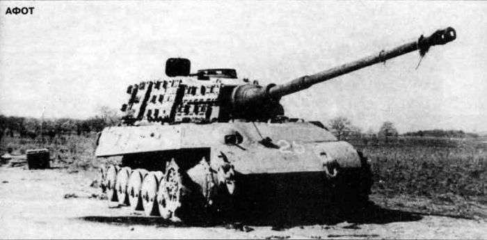 Panzers destruidos en la batalla del lago balatón IV