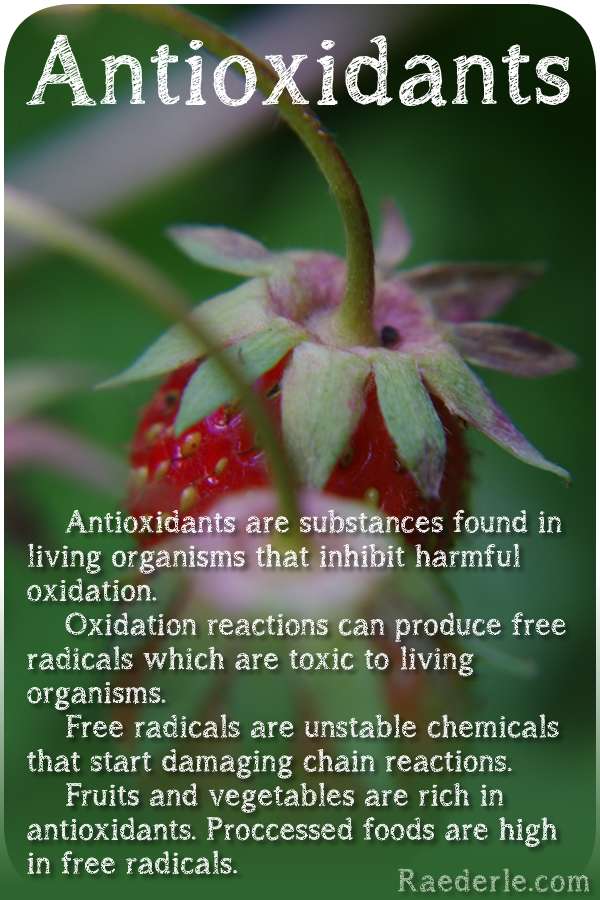 Antioxidants polyphenols free radicals oxidation chart reference