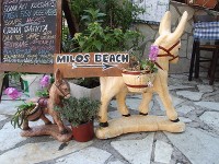 Lefkada, la Grecia Jónica - Blogs de Grecia - Conociendo la isla (22)